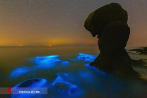 عکس/ درخشش پلانکتون ها در خلیج فارس