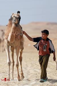 مسابقه شترسواری کودکان در مصر