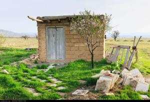 عکس/ شکوفه های زیبای بهاری در آذربایجان شرقی