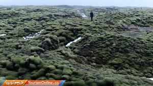 جزیره خزه ای؛ یکی از محبوب ترین جاذبه های توریستی ایسلند