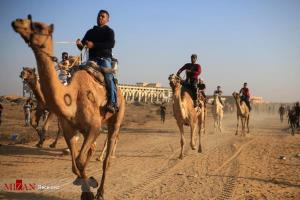 رقابت‌های شترسواری در غزه