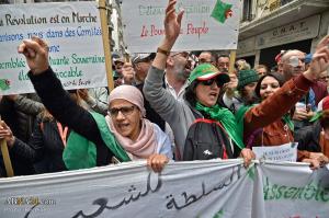 تظاهرات مردم الجزایر ضد رییس جمهور جدید