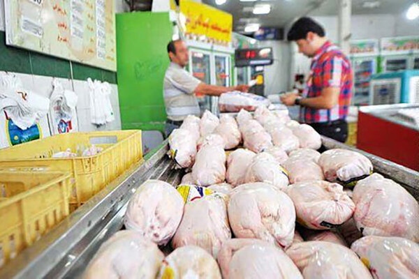 افزایش قیمت مرغ در بازار؛ هر کیلو 35 هزار و 500 تومان!