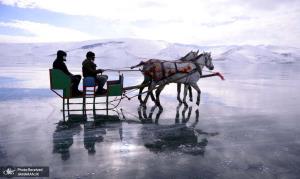 سورتمه سواری با اسب روی یخ