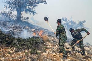 عکس/ آتش سوزی در جنگل‌های «درازنو» گلستان
