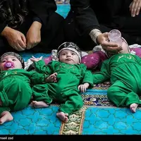 عکس/ نوزادان سه قلو در همایش شیرخوارگان حسینی