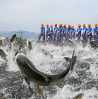  کشیدن تور ماهیگیری از دریاچه ای در چین