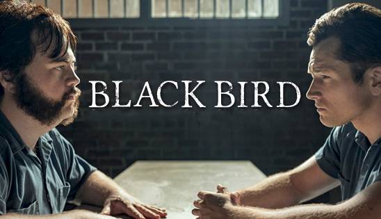 آخر هفته چی ببینیم؟ مینی سریال جذاب «پرنده سیاه»