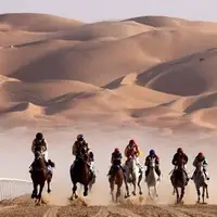 مسابقه اسب های اصیل عرب در امارات متحده عربی