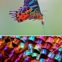 بال‌ یک پروانه زیر میکروسکوپ