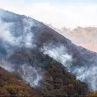 عوامل انسانی، علت اصلی آتش‌سوزی جنگل‌های کهگیلویه و بویراحمد