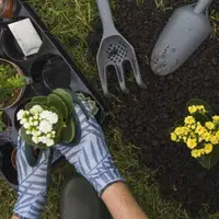 11 ایده طبیعی و ارزان برای تقویت خاک گلدان و باغچه