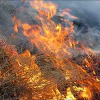آتش‌سوزی در پارک ملی تندوره درگز مهار شد
