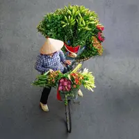 گل‌فروش دوره‌گرد در ویتنام