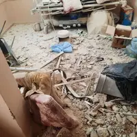 عکس/ بیمارستان روانی و چشم‌پزشکی که صهیونیست‌ها بمباران کردند