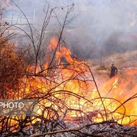 آتش‌سوزی ۶ هکتار از باغات روستای تنگ سریز بویراحمد