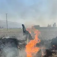 عکس/ تصاویری از سقوط یک فروند هواپیمای نظامی‌ در کازرون