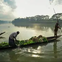 انتقال محصولات با قایق توسط کشاورزان بنگلادشی 