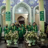 عکس/ گل‌آرایی صحن‌های حرم بانوی کرامت به مناسبت اعیاد شعبانیه