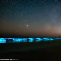 روشنایی امواج در شب با فیتو پلانکتون‌ها چابهار