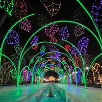 اجرای تونل نوری در پیاده‌راه باغ فردوس پایتخت