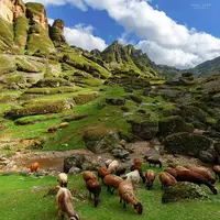  زیبایی بی‌ حد و حصر مخمل کوه لرستان در میان کوه‌ها  