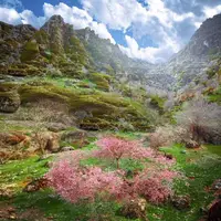 نغمه بهاری طبیعت در استان لرستان