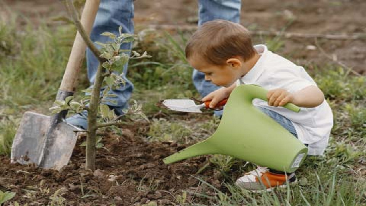 اهمیت ویژه آموزش حفظ محیط زیست به کودکان