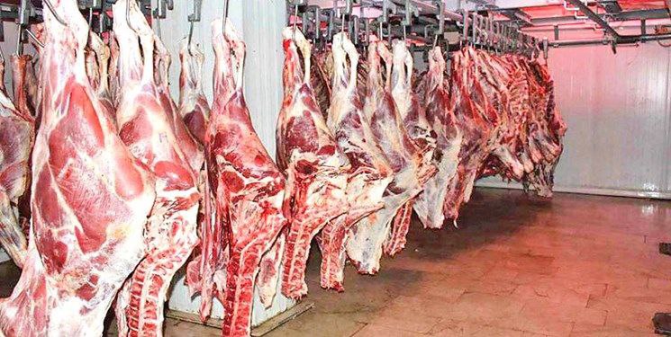واردات گوشت گرم از آفریقا