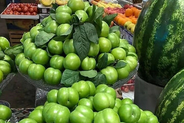نرخ مصوب انواع میوه اعلام شد؛ قیمت گوجه سبز سر به فلک کشید!