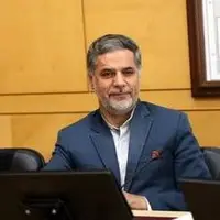 نقوی حسینی: پایداری‌ها از اصطلاح «پشم» خیلی ناراحت شدند