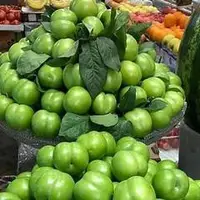 نرخ مصوب انواع میوه اعلام شد؛ قیمت گوجه سبز سر به فلک کشید!