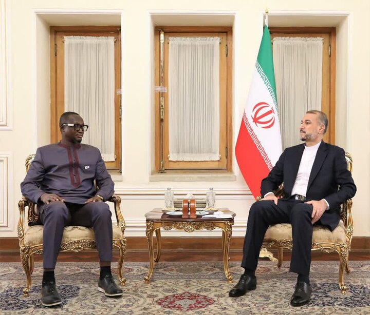 جزئیات دیدار وزیری از آفریقای مرکزی با وزیر خارجه ایران
