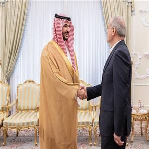 لارا روزن ادعا کرد: سعودیها به دنبال تدارک دیدار پزشکیان و ترامپ در عربستان