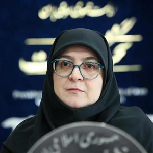 اظهارات سخنگوی دولت در گزارش روزانه به مردم؛ از زمان لغو پروازها تا اعلام پناهگاه‌ها