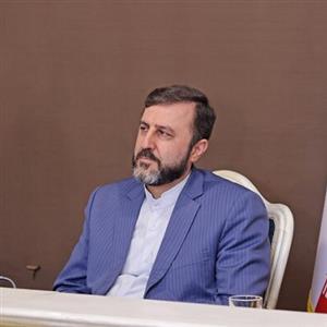 واکنش غریب آبادی به اظهارنظر صدراعظم آلمان درباره فعال شدن اسنپ بک