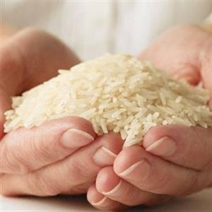 قیمت برنج ایرانی تا ۱۵۸ هزار تومان کاهش یافت