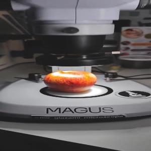 پوست میوه‌ی نشسته، زیر عدسی میکروسکوپ