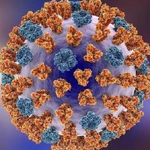 آنفلوآنزا، شایع‌ترین عفونت تنفسی این روزها / ماجرای «کرونای تیغی»