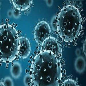 افزایش ابتلا به آنفلوآنزا در کرمانشاه