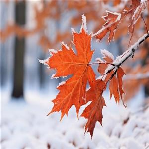 هشدار هواشناسی فارس؛ بارش گسترده برف و باران در سراسر استان