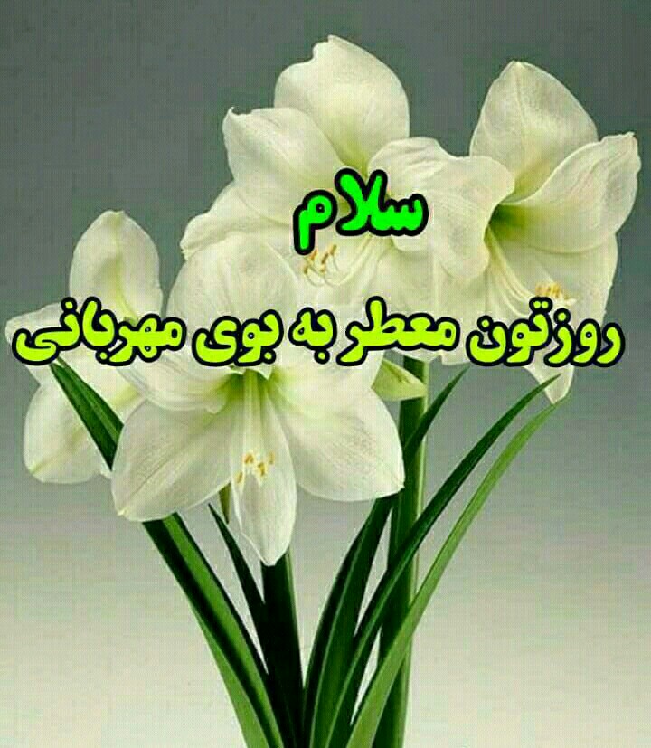 آخرین خبر | سلام روزتون بخیر☺✋🌹🌹🌹🌸🌸🌸