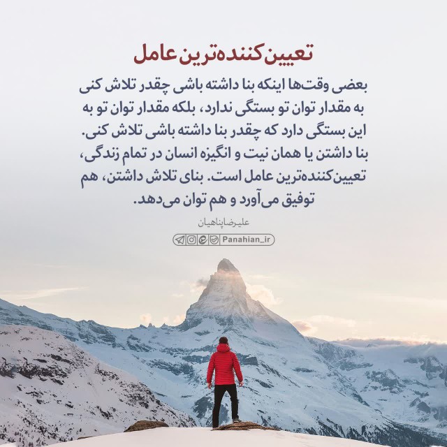 تعيين کننده ترين علامت