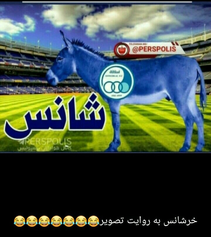 جواب توهين
