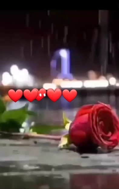 يک نفر دلتنگ است يک نفر مي شمرد  يک نفر ميخواندد...دلتنگ توا
