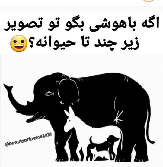 هوشت را امتحان کن 