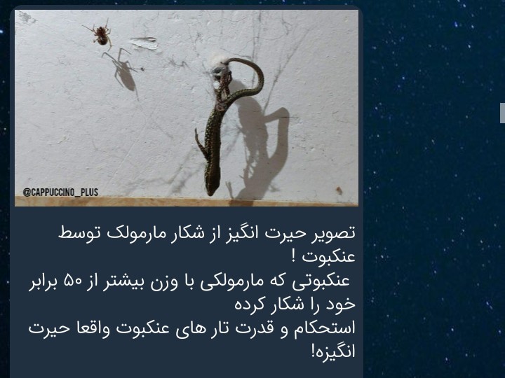 حيرت انگيز 