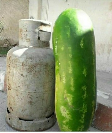 هندوانه کازرون 😍😍