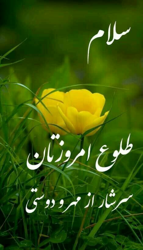 آخرین خبر | سلام صبح بخیر هموطن (ایران)