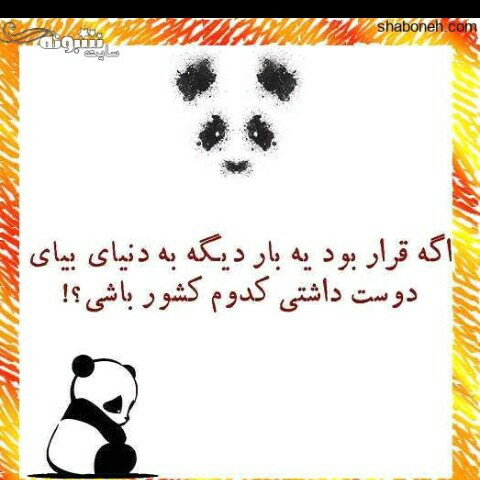 جواب بدین؟